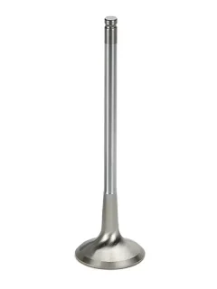 SUPERTECH Exhaust Valves AEVI-1103