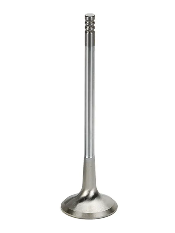 SUPERTECH Exhaust Valves VWEVI 1002T