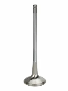 SUPERTECH Exhaust Valves VWEVI-1006S