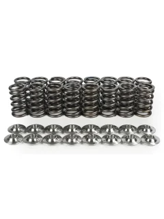 BC Springs Retainers Kit BC0350S-2