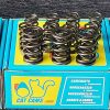 product CatCams Springs Indicative