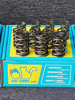 product CatCams Springs Indicative