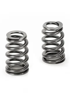 SUPERTECH Valve Springs SPR-FE20BE