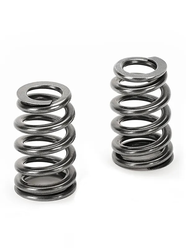 SUPERTECH Valve Springs SPR-FE20BE