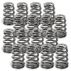 SUPERTECH Valve Springs SPR-H1002D