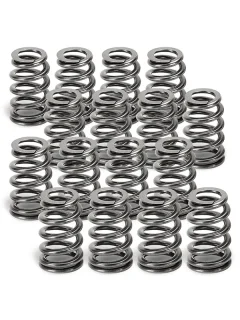 SUPERTECH Valve Springs SPR-H1002D