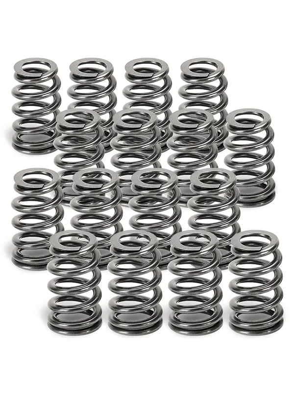 SUPERTECH Valve Springs SPR-H1002D